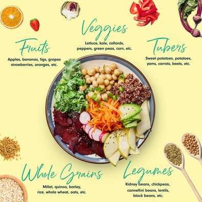 Plant-Based Primer: The Beginner’s Guide to a Plant-Based Diet