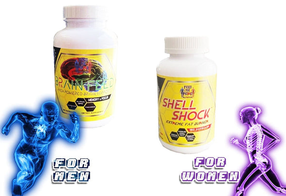 Brain Feed | Shell Shock (STACK)